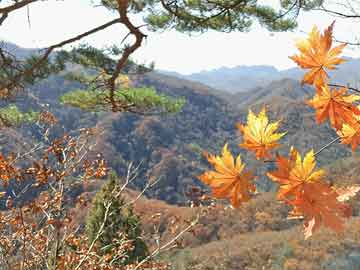 王中王王中王免費(fèi)資料大全一,系統(tǒng)評(píng)估解答解釋方法_策展版PWZ9.40