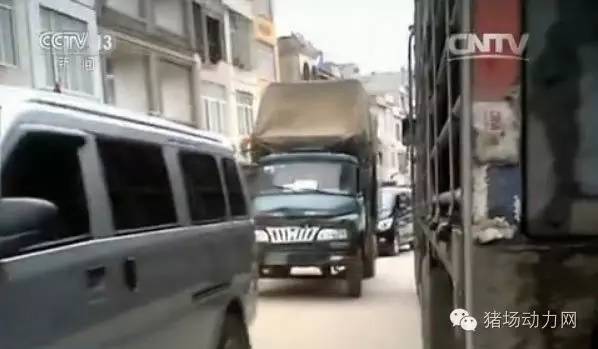 央視揭秘摩托車牌背后的秘密，警示公眾的故事與真相曝光