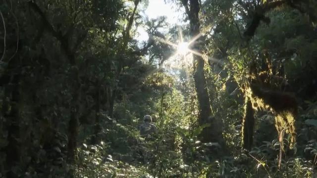 部隊穿越哀牢山現(xiàn)場實拍，一線部隊行進畫面曝光