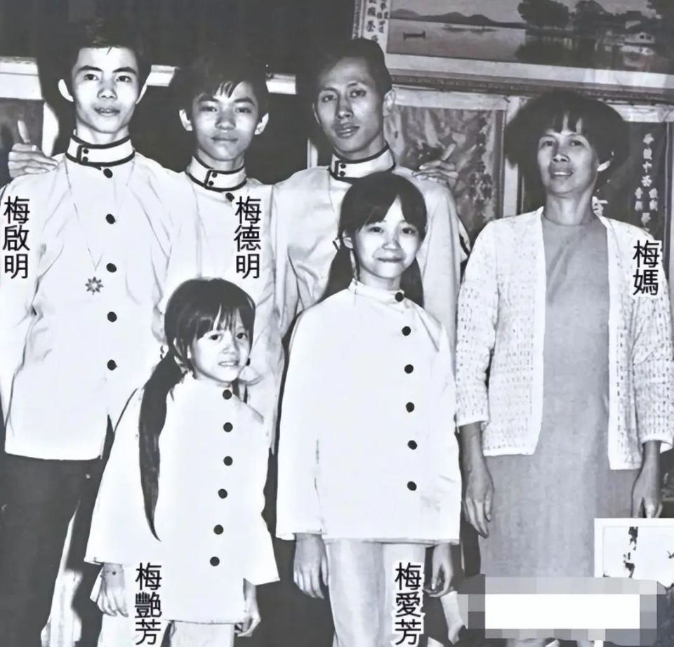 梅艷芳百歲母親逆境中的堅韌與社會反思，再次申請破產(chǎn)的背后故事