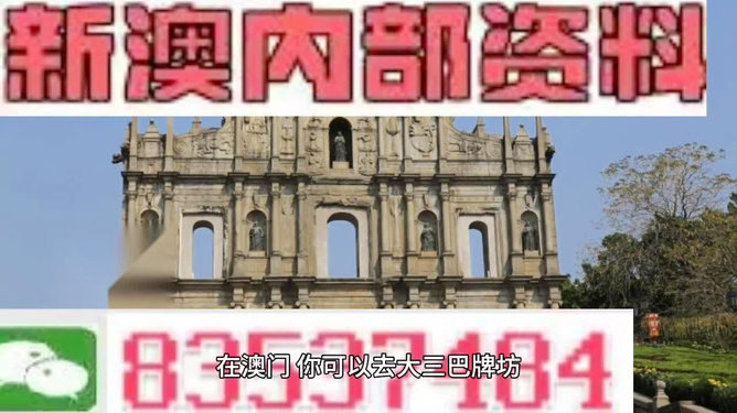 新澳天天開獎資料大全最新，動態(tài)詞語解釋落實_VIP45.11.25