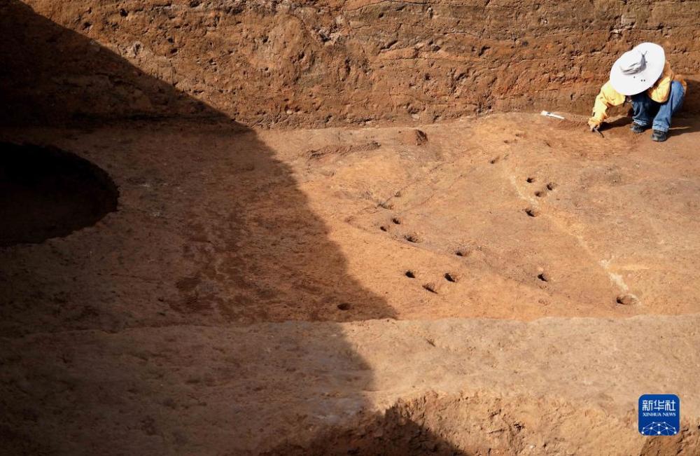 河南發(fā)現(xiàn)距今5000年的大墓遺址，揭示古代文明的寶藏