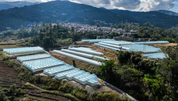 鳳慶縣概覽，最新消息與概述
