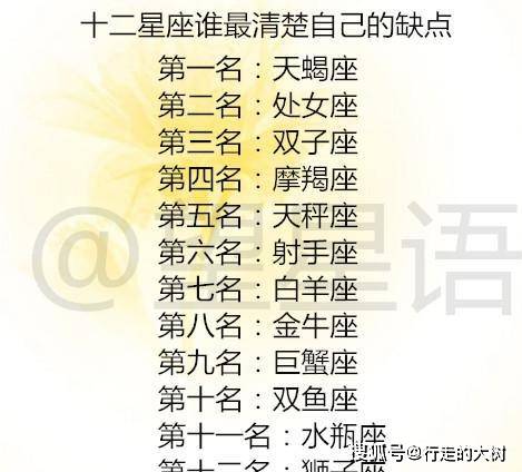 符寶更新概覽，解析符寶的含義與最新動態(tài)