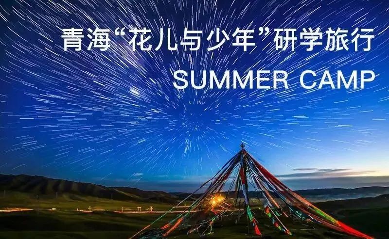 自然美景探索與瘦身之旅，遠離塵囂的奇妙冒險，最新瘦身廣告視頻發(fā)布