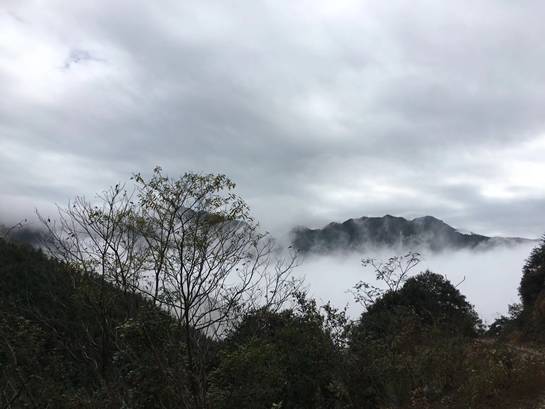 探索自然美景之旅，尋找內(nèi)心的平和與寧靜——Lu福利之旅的驚喜等待您！