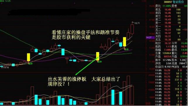 管家婆精準(zhǔn)一碼一肖預(yù)測(cè)，智能版高效規(guī)劃_FQD61.338升級(jí)版