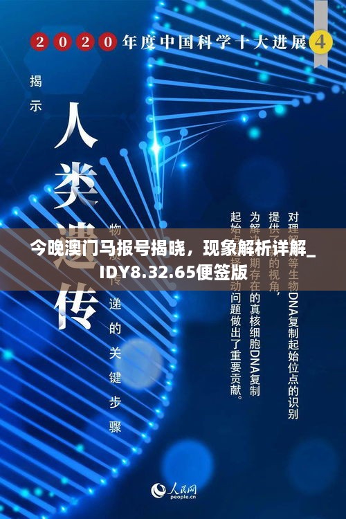 今晚澳門馬報(bào)號(hào)揭曉，現(xiàn)象解析詳解_IDY8.32.65便簽版