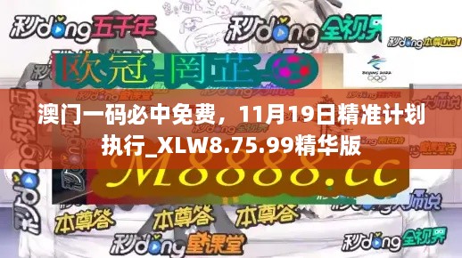 澳門一碼必中免費，11月19日精準計劃執(zhí)行_XLW8.75.99精華版