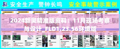 2024新奧精準版資料：11月現(xiàn)場考察與設計_FLD1.23.56環(huán)境版