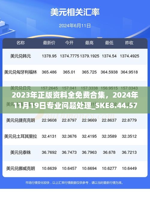 2023年正版資料全免費(fèi)合集，2024年11月19日專業(yè)問題處理_SKE8.44.57定制版