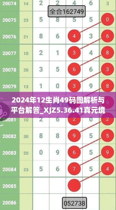 2024年12生肖49碼圖解析與平臺解答_XJZ5.36.41真元境