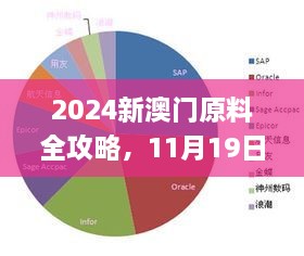 2024新澳門原料全攻略，11月19日專職解析實施_LXC6.23.35L版