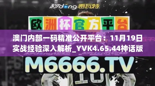 澳門內部一碼精準公開平臺：11月19日實戰(zhàn)經(jīng)驗深入解析_YVK4.65.44神話版