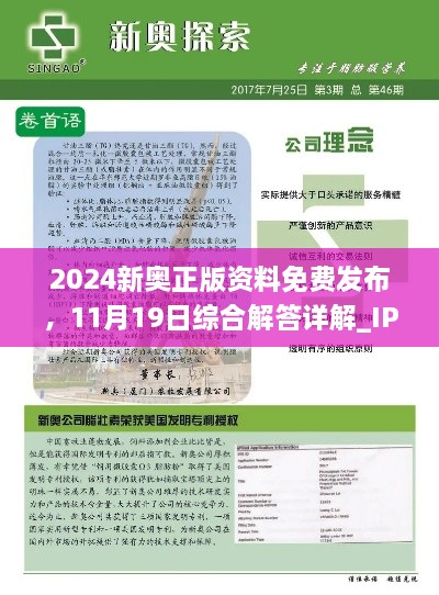 2024新奧正版資料免費發(fā)布，11月19日綜合解答詳解_IPF7.54.65獨特版本