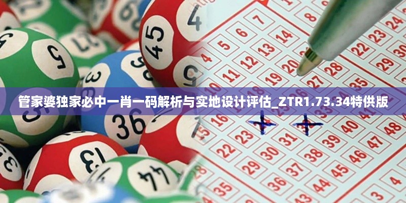管家婆獨(dú)家必中一肖一碼解析與實(shí)地設(shè)計(jì)評估_ZTR1.73.34特供版