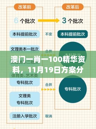 澳門一肖一100精華資料，11月19日方案分析與解讀_PDE3.33.55精選版