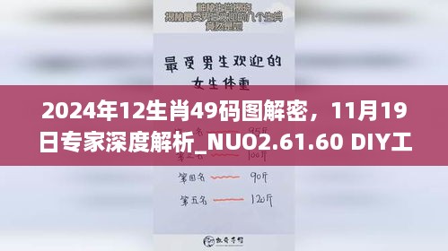 2024年12生肖49碼圖解密，11月19日專家深度解析_NUO2.61.60 DIY工具版