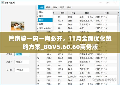 管家婆一碼一肖必開，11月全面優(yōu)化策略方案_BGV5.60.60商務版