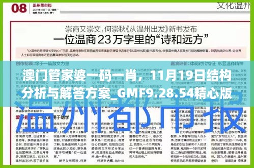 澳門管家婆一碼一肖，11月19日結(jié)構(gòu)分析與解答方案_GMF9.28.54精心版