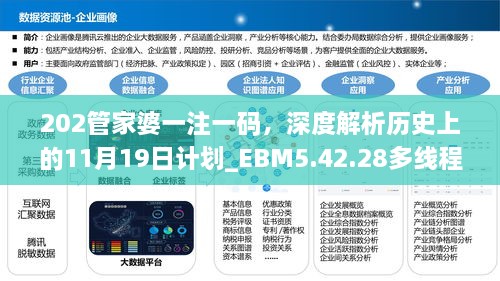 202管家婆一注一碼，深度解析歷史上的11月19日計(jì)劃_EBM5.42.28多線程版本