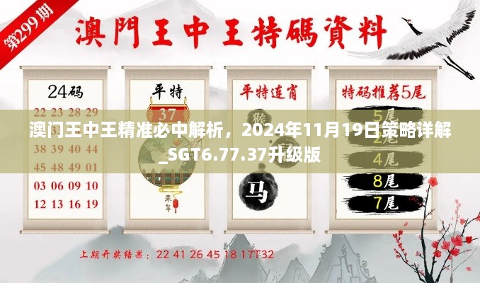 澳門王中王精準(zhǔn)必中解析，2024年11月19日策略詳解_SGT6.77.37升級版