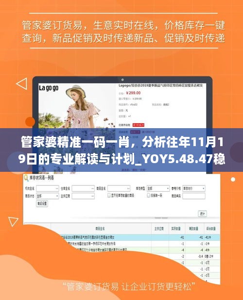管家婆精準一碼一肖，分析往年11月19日的專業(yè)解讀與計劃_YOY5.48.47穩(wěn)定版