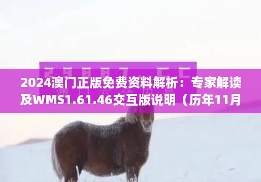 2024澳門(mén)正版免費(fèi)資料解析：專家解讀及WMS1.61.46交互版說(shuō)明（歷年11月19日）