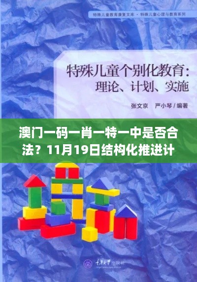 澳門一碼一肖一特一中是否合法？11月19日結(jié)構(gòu)化推進(jìn)計(jì)劃評估_JHZ7.37.43極速版