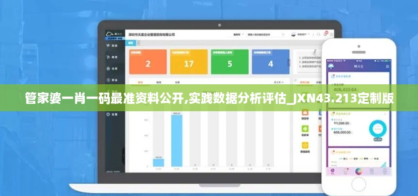 管家婆一肖一碼最準(zhǔn)資料公開,實踐數(shù)據(jù)分析評估_JXN43.213定制版