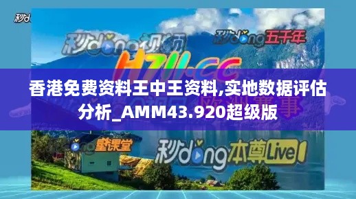 香港免費資料王中王資料,實地數據評估分析_AMM43.920超級版