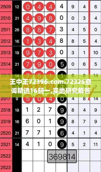 王中王72396.cσm.72326查詢精選16碼一,實地研究解答協助_KRA43.602瞬間版