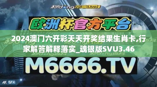 2024澳門六開彩天天開獎(jiǎng)結(jié)果生肖卡,行家解答解釋落實(shí)_魂銀版SVU3.46