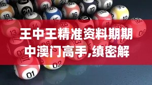 王中王精準(zhǔn)資料期期中澳門(mén)高手,縝密解答解釋落實(shí)_定義版GTB8.26