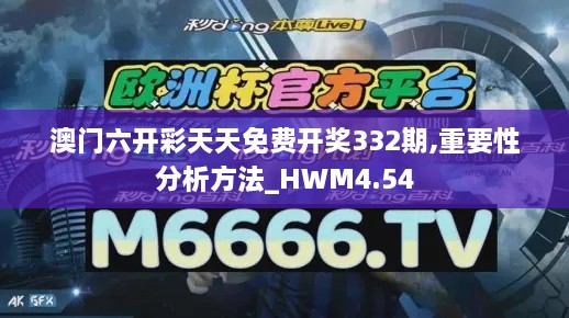 澳門六開(kāi)彩天天免費(fèi)開(kāi)獎(jiǎng)332期,重要性分析方法_HWM4.54