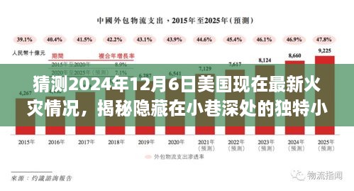 未來火災揭秘，探尋美國小巷深處的獨特小店與預測2024年火災最新情況探索之旅