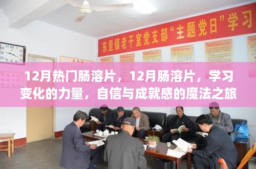 12月熱門腸溶片，學(xué)習(xí)變化的力量，開啟自信與成就感的魔法之旅