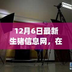 云端豬事，最新生豬信息小記（12月6日）