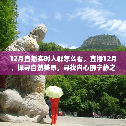 12月直播探尋自然美景，探尋內(nèi)心寧靜之旅的實時觀眾洞察