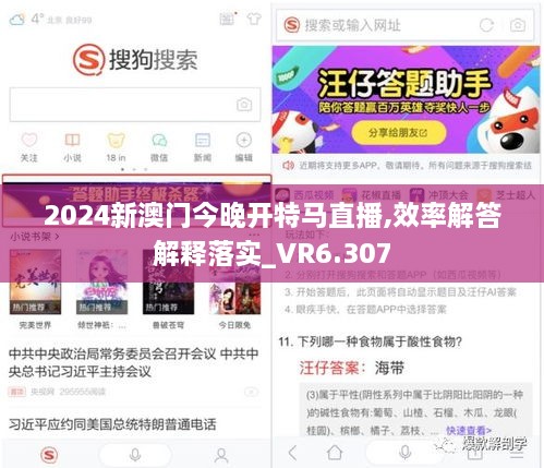 2024新澳門今晚開特馬直播,效率解答解釋落實(shí)_VR6.307