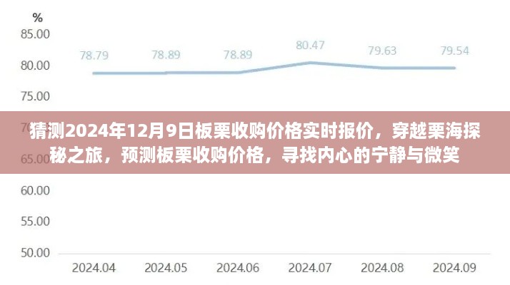 穿越栗海探秘之旅，預(yù)測板栗收購價格，探尋內(nèi)心寧靜微笑與未來報價動態(tài)（實時更新）