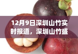深圳山竹盛宴，溫馨有趣的日常故事實(shí)時報(bào)道