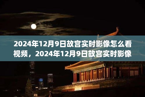 2024年12月9日故宮實時影像觀看指南，探索古都的在線之旅