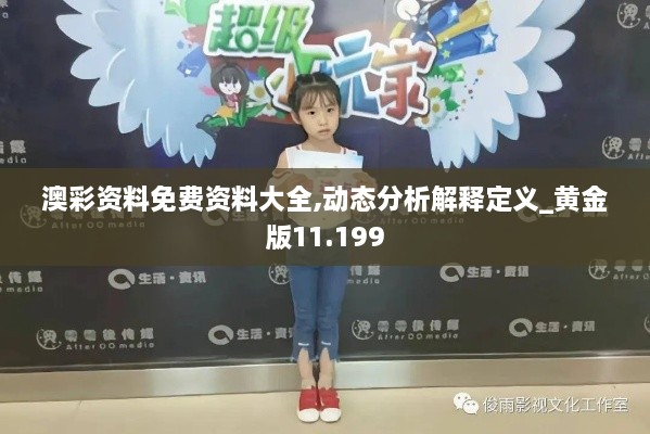 澳彩資料免費資料大全,動態(tài)分析解釋定義_黃金版11.199