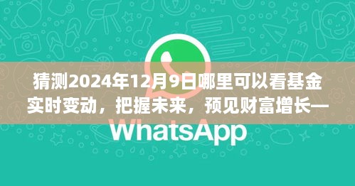 見證未來財富增長，把握基金實時變動之旅，2024年12月9日揭曉！
