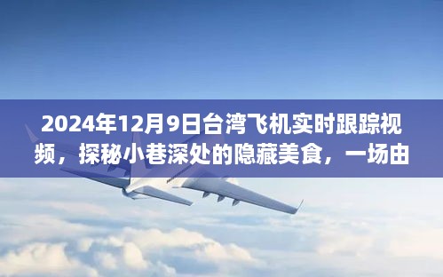 臺灣美食探秘之旅，飛機(jī)軌跡串聯(lián)的奇妙美食之旅（實時跟蹤視頻）