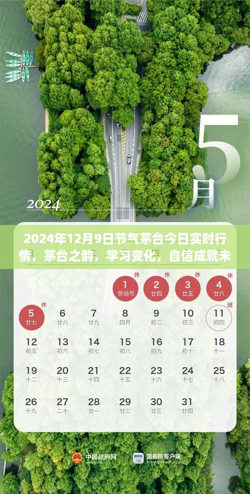 茅臺之韻，2024年12月9日實時行情啟示錄，洞悉變化，自信筑夢未來