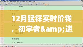 12月錳鋅實(shí)時(shí)價(jià)格指南，初學(xué)者到進(jìn)階用戶的必備資訊與查詢步驟