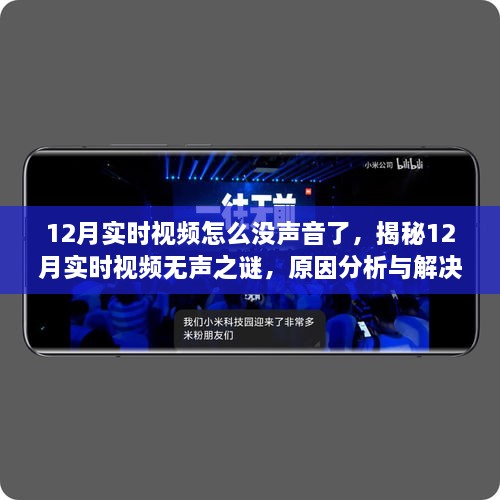 揭秘?zé)o聲之謎，12月實(shí)時(shí)視頻為何突然失聲？原因分析與解決建議