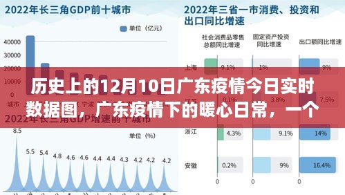 廣東疫情下的暖心日常，愛與陪伴的溫馨故事及實(shí)時(shí)數(shù)據(jù)圖回顧（歷史篇）